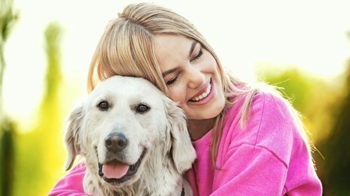 Hipersalivación perro: síntomas, causas y remedios